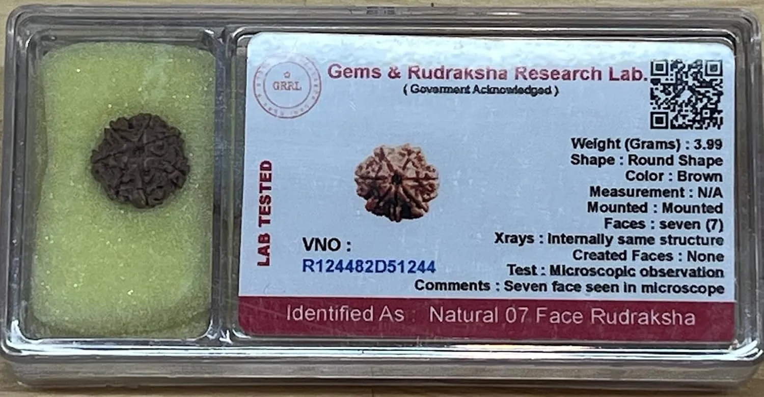 Empowering 7 Mukhi Rudraksha Bead, Universal Sun Sign, Root Chakra