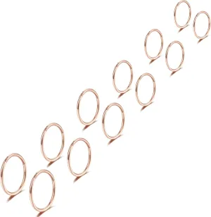 Lantine 6-12Pcs 18g 20g Nose Rings for Women Men 316L Surgical Steel 16g Septum Ring Cute Tiny Cartilage Helix Conch Daith Tragus Earrings 6-16mm Set