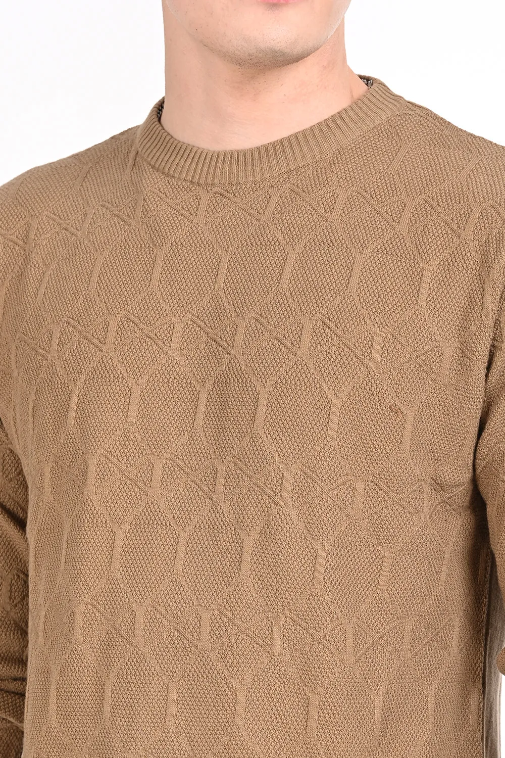 Sandal Textured Regular Fit Sweater
